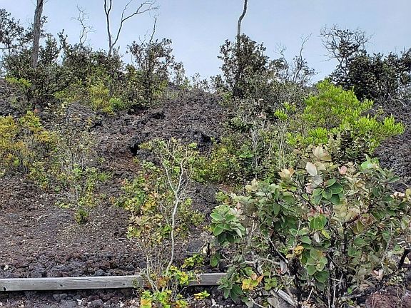 4th image of 92-9272 Reef Pkwy Lot 21