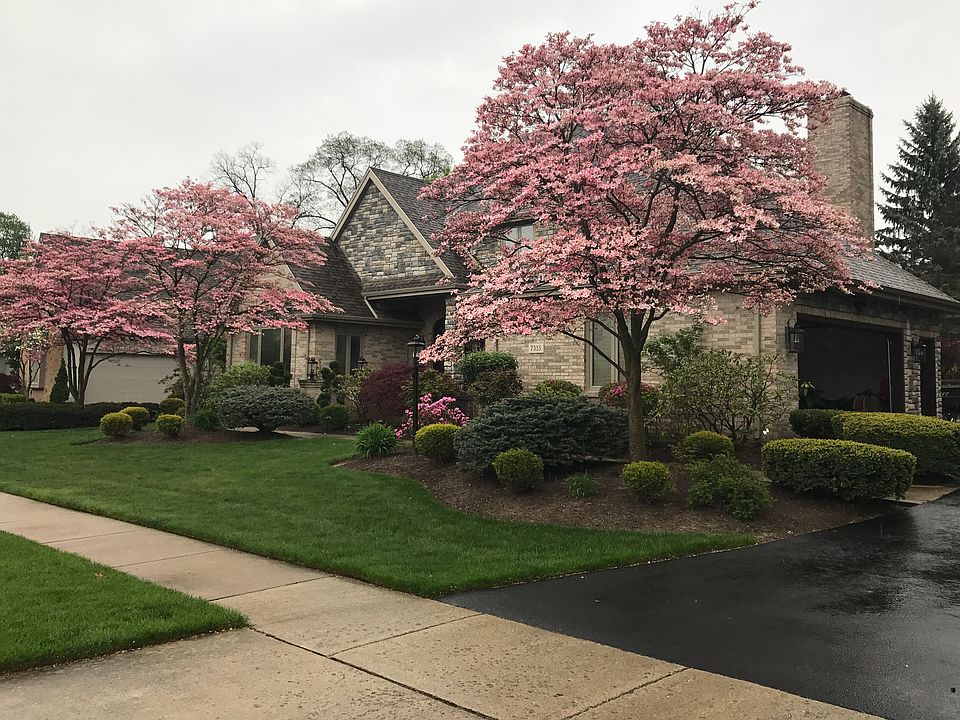 2nd image of 7355 Kings Walk Ln