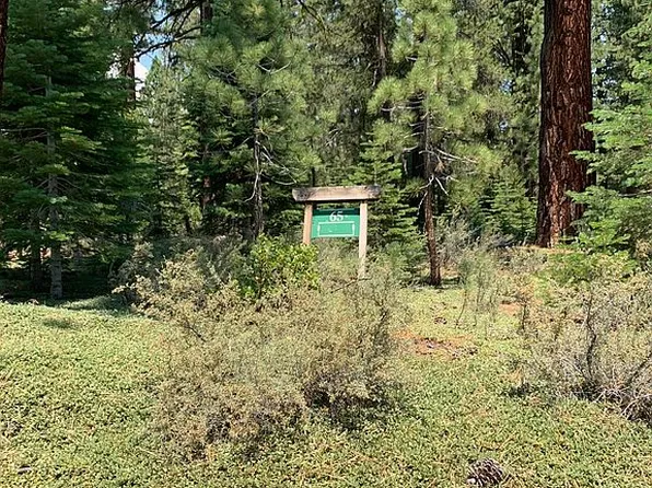 11680 Saddleback Dr, Truckee, CA 96161
