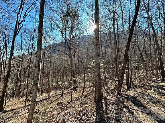 2nd image of LOT 229 Swallow Ln