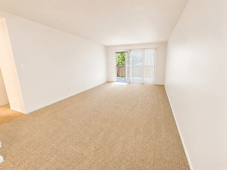 38500 Paseo Padre Pkwy #208 — Photo 5