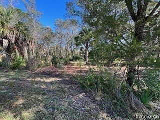 2nd image of 7489 W Pedersen Loop