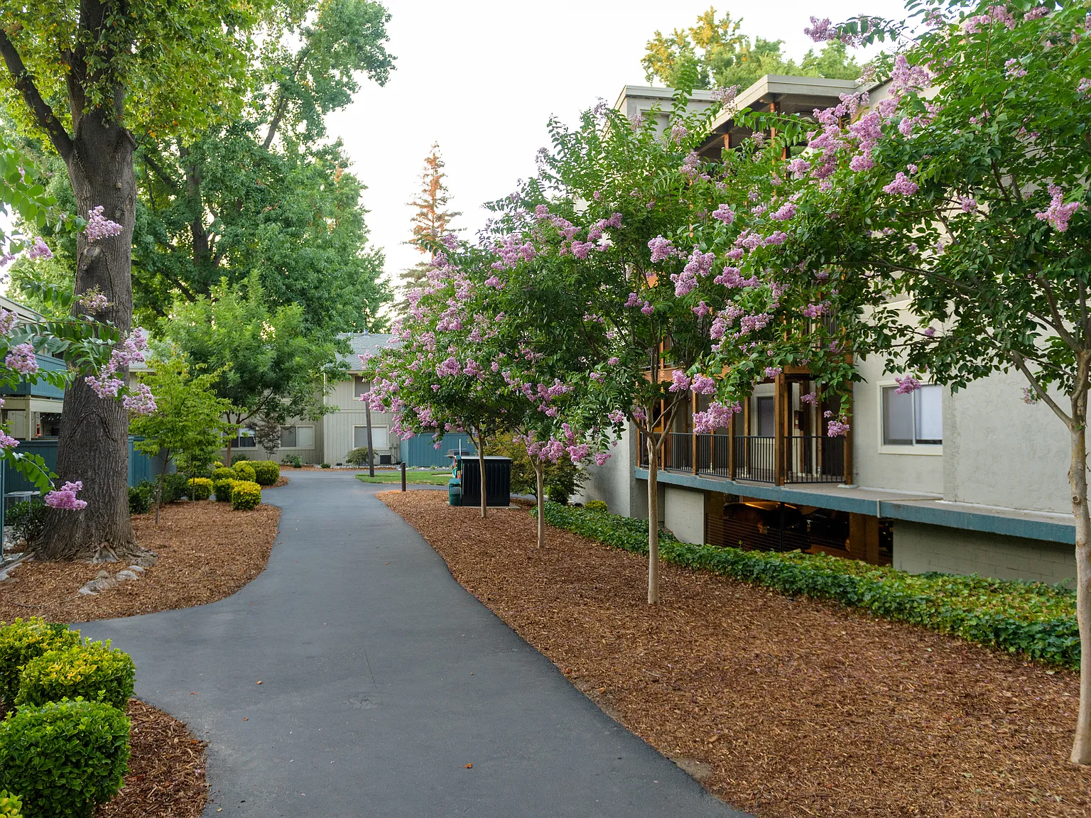 American River Commons — Photo 3