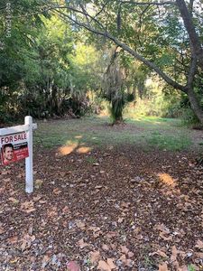 1567 Hammock Dr, Holly Hill, FL, 32117