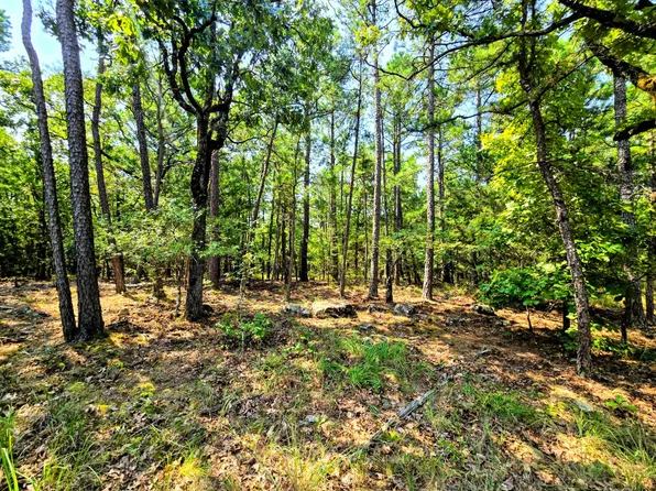 163475 Indian Hwy, Talihina, OK 74571