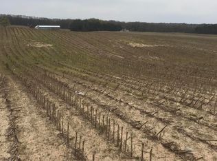 LOT 4 Potters Rd, Ionia, MI 48846