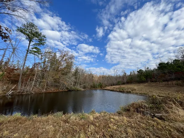 5960 Cuba Landing Rd, Waverly, TN 37185