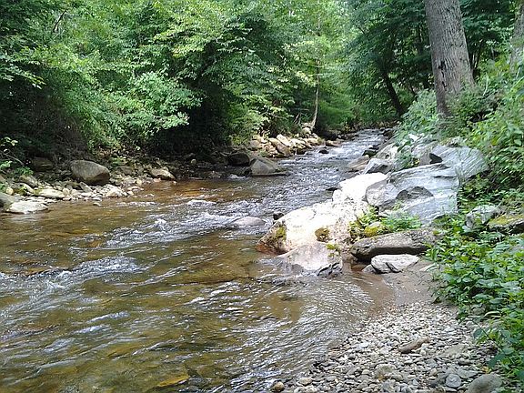 Owned Caney Fork Creek front