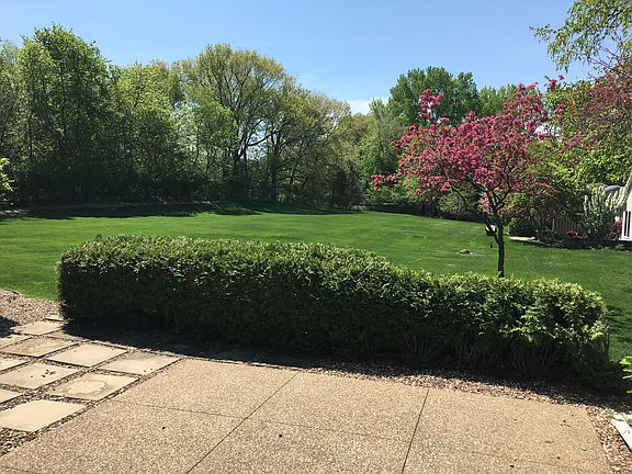 View from back patio