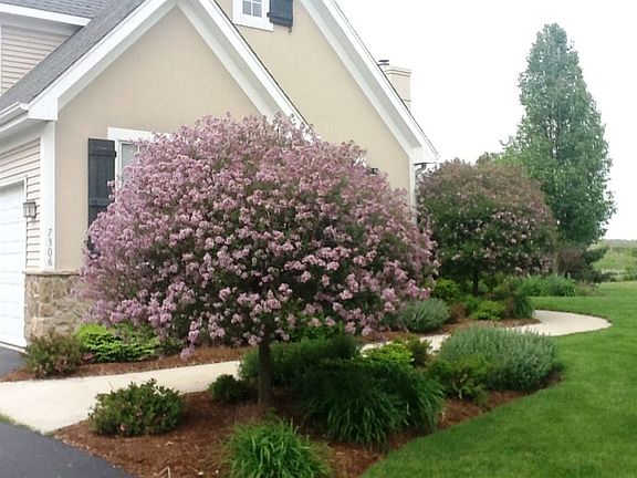2nd image of 7306 Burning Tree Dr