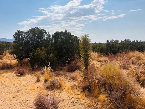0 Vac Vic Lot 5, Llano, CA 93544