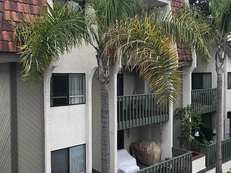 215 W Palm Ave #105 — Photo 2