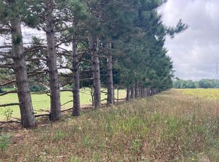 N 88th Ave, Pentwater, MI 49449