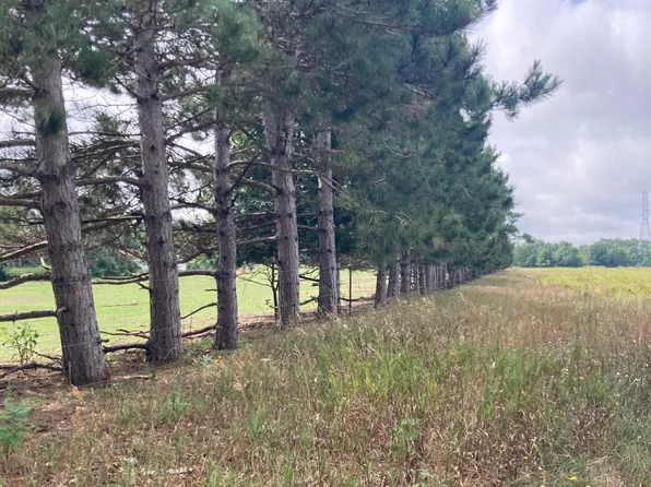 N 88th Ave, Pentwater, MI 49449