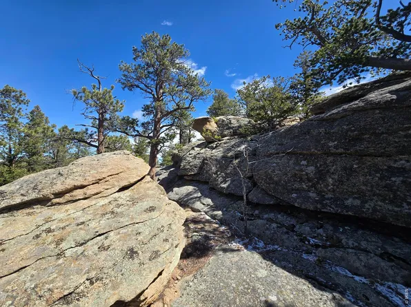 0 Sinisippi Rd, Red Feather Lakes, CO 80545