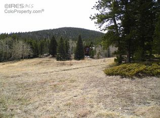 49 Monument Gulch Way, Bellvue, CO 80512