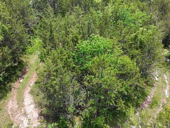 4th image of 0 Mulberry Gap Rd