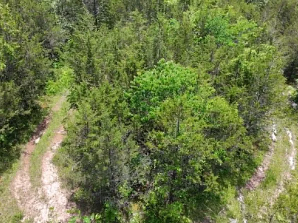 0 Mulberry Gap Rd, Sneedville, TN 37869