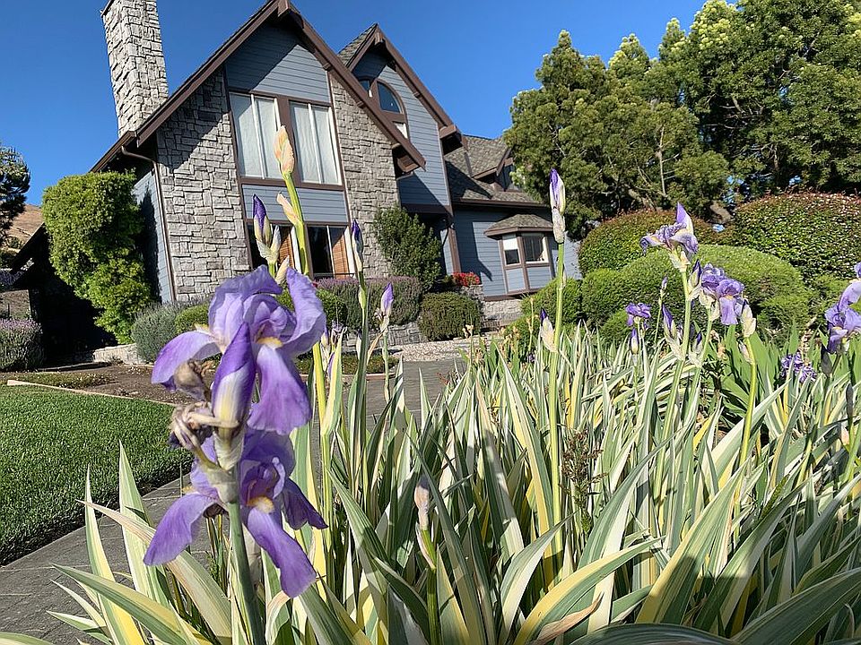 2nd image of 10265 Merkley Row