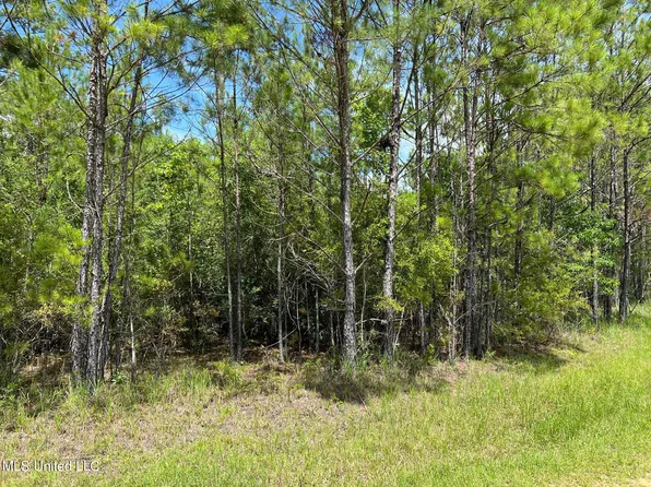 LOT 111 River Blf Lot 111, Vancleave, MS 39565