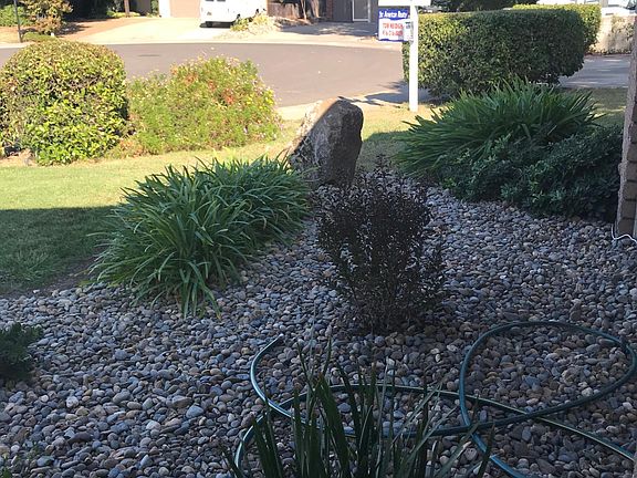 New Front Yard