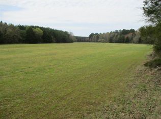 3202 Ed Barham Rd, Bethel Springs, TN 38315