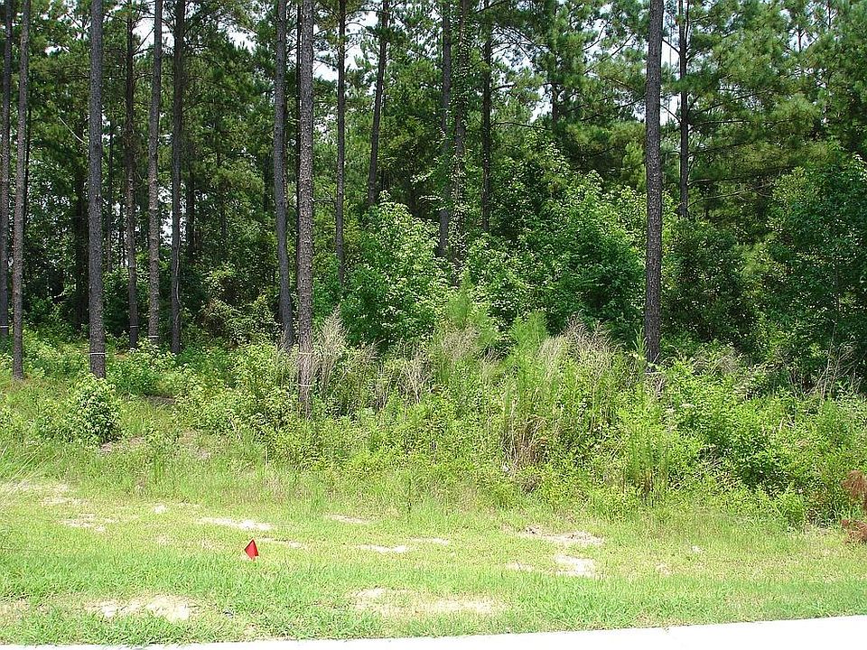 Front of lot - 225' deep