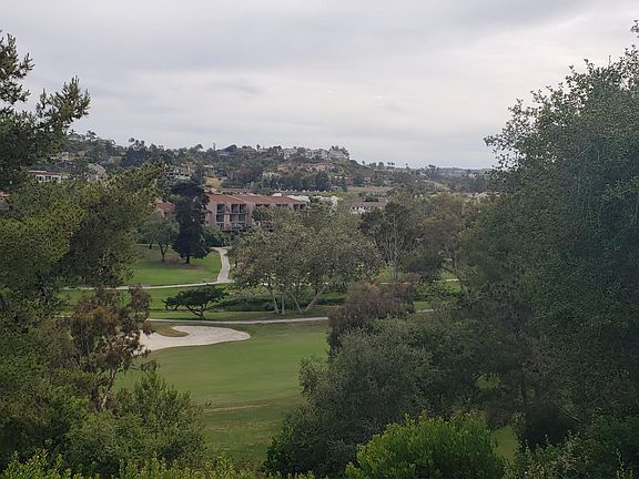 View from the backyard