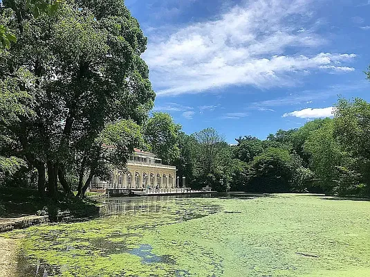 Rented by Leasing Management LLC | media 14