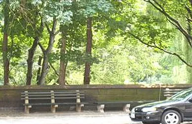 Sold by Carol Quatrone