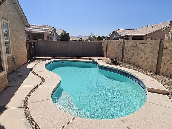 Locust 10854 33_10082024