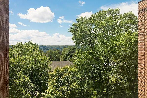 Rented by Living New York | media 15