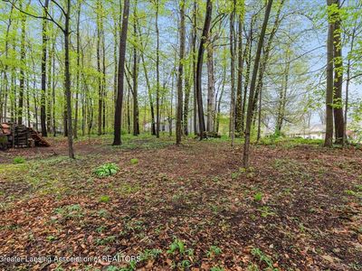 2531 Fedewood Ln, Dewitt, MI, 48820