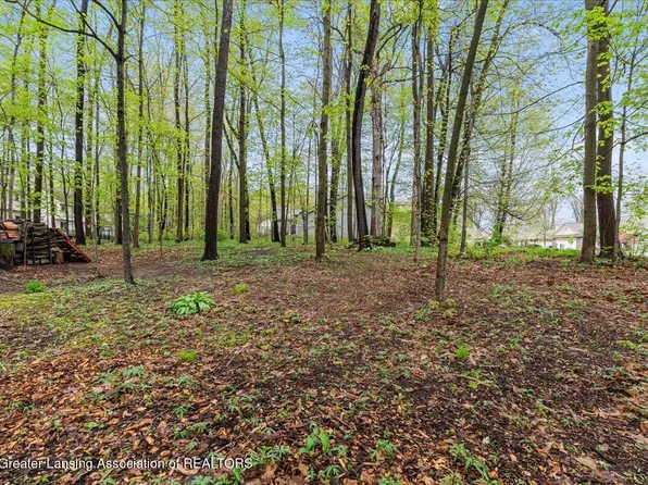 2531 Fedewood Ln, Dewitt, MI 48820