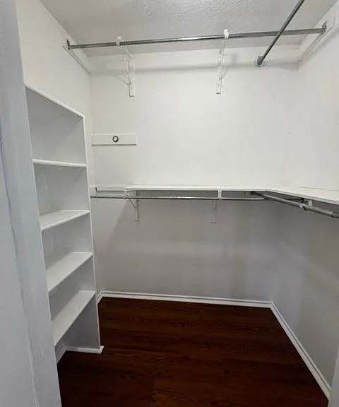 Primary Closet