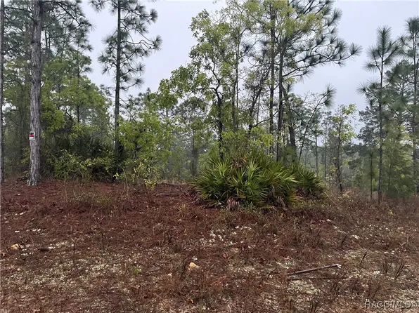 5923 N Buffalo Dr, Beverly Hills, FL 34465