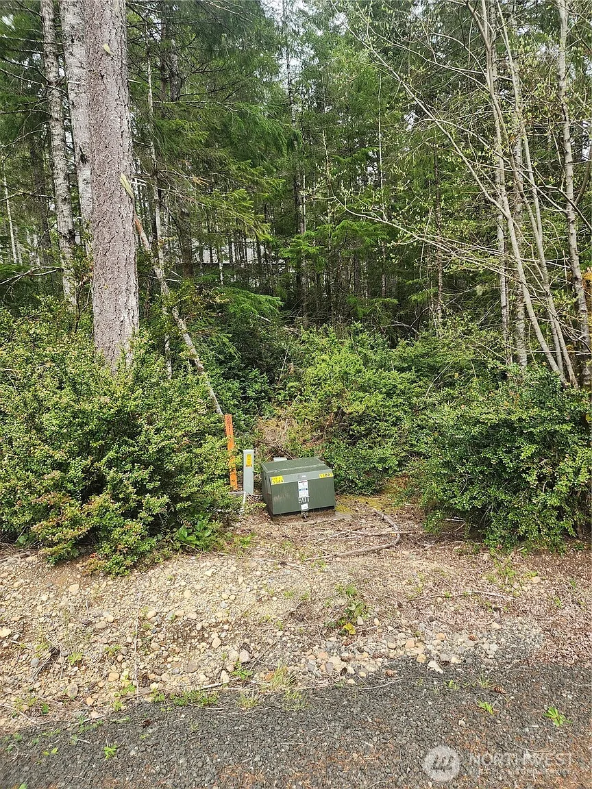 51 E Blackberry Lane photo 1