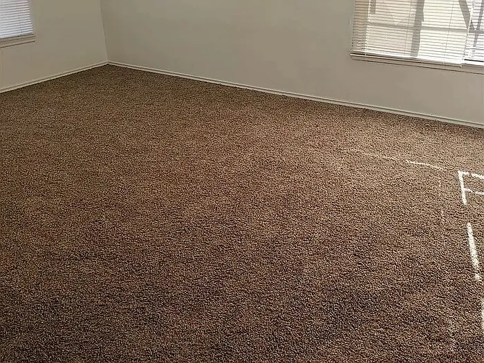 2 bed, 1.0 bath, $825 — Photo 2