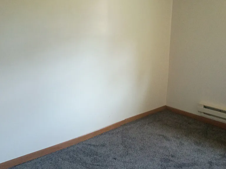 202 E Cedar St — Photo 6
