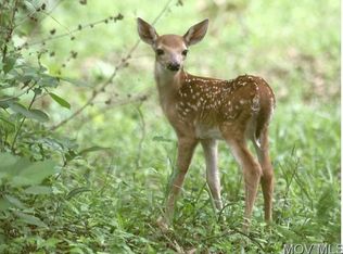 Slate Creek Rd, Rockport, WV 26169