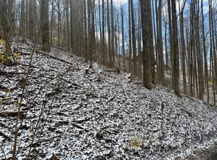 0 Letties Ln, Sylva, NC 28779