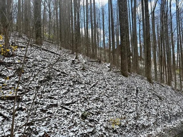 0 Letties Ln, Sylva, NC 28779