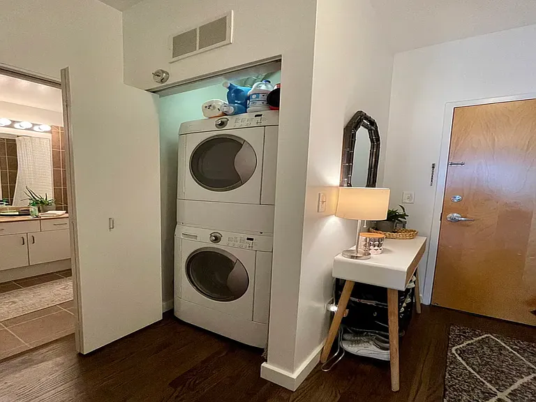 1702 S Michigan Ave #2504 — Photo 8