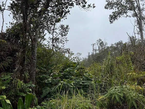 Alaula St Lot 709, Volcano, HI 96785