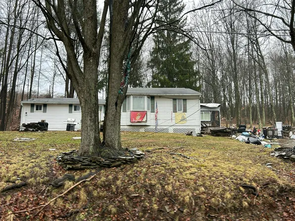 6811 Montrose Tpke, Owego, NY 13827