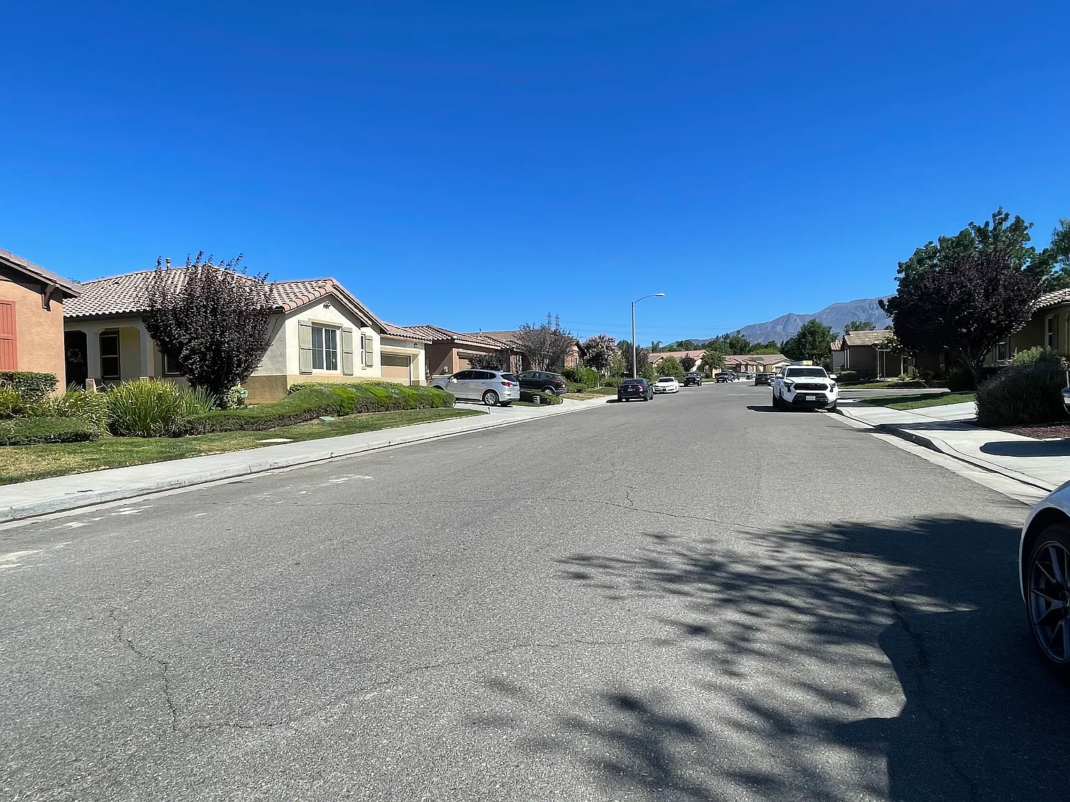 1327 Orchis Ln — Photo 2