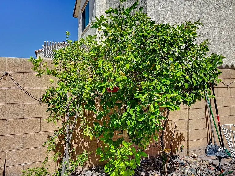 6363 Amelia Ridge Ave — Photo 34