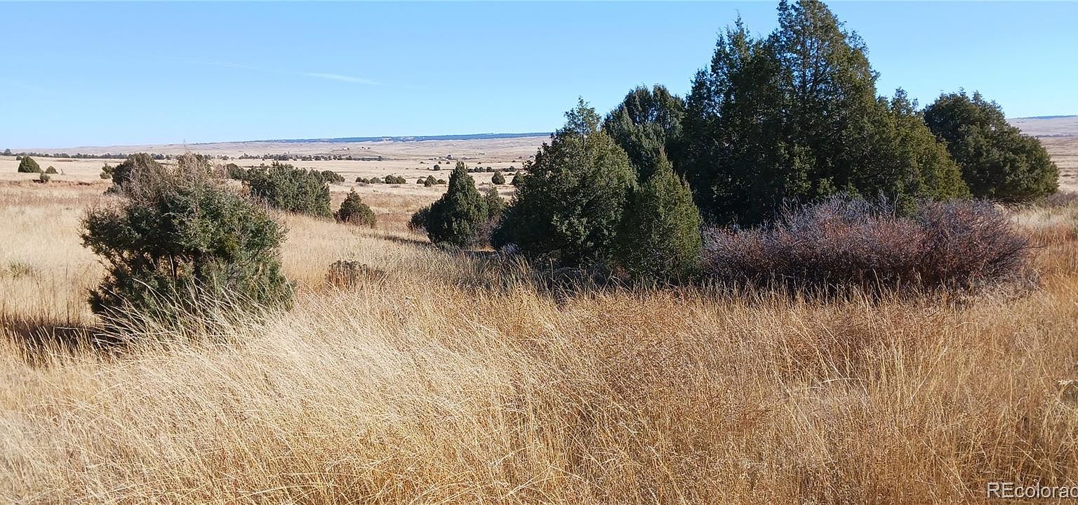 Private Road 146, Kiowa, CO 80117 | MLS #6586898 | Zillow