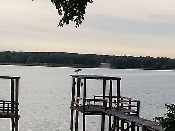 View from kitchen windows 