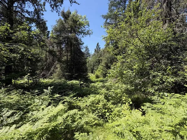 Tbd Red Rd, Ishpeming, MI 49849